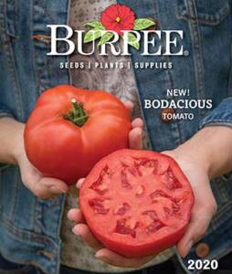 Burpee seed catalog